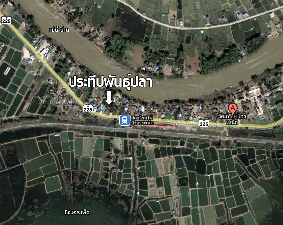 ประทีปพันธุ์ปลาจำหน่ายพันธุ์ปลาน้ำจืด